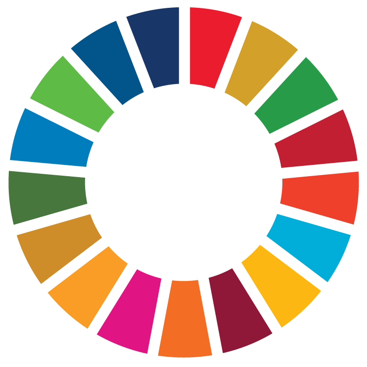 SDG Wheel_Transparent_WEB